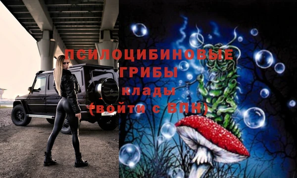 винт Коряжма