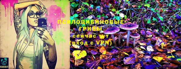 гидропоника Балахна