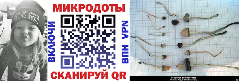 купить наркоту Боровск Галлюциногенные грибы мицелий